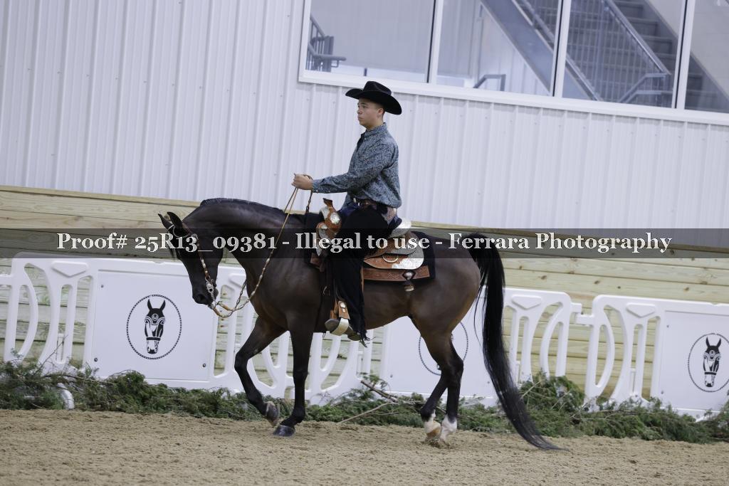 Proof 25R13_09381