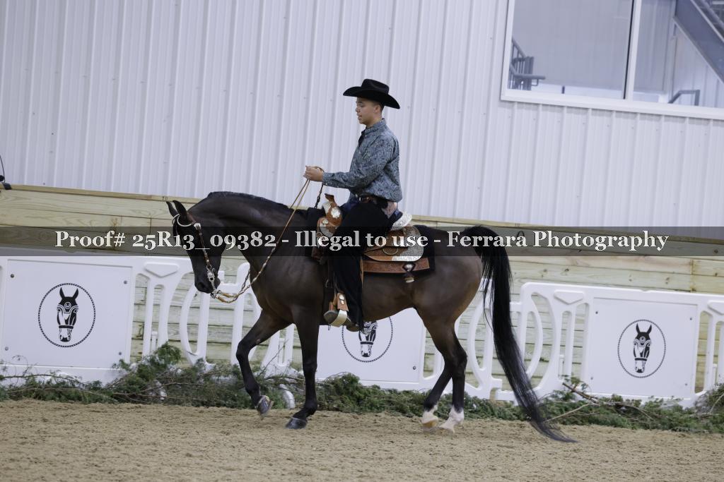 Proof 25R13_09382