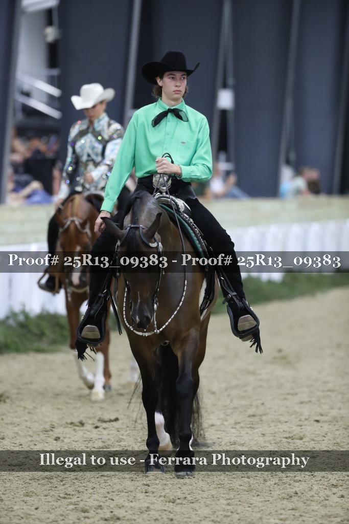 Proof 25R13_09383