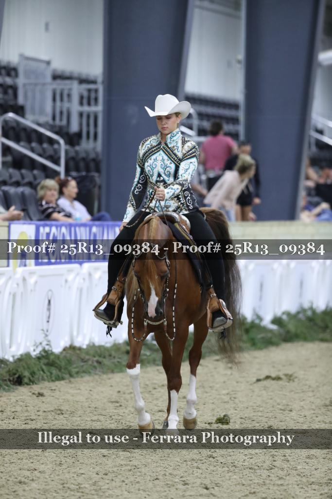 Proof 25R13_09384