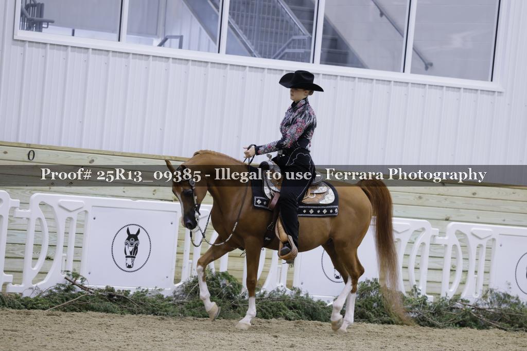 Proof 25R13_09385
