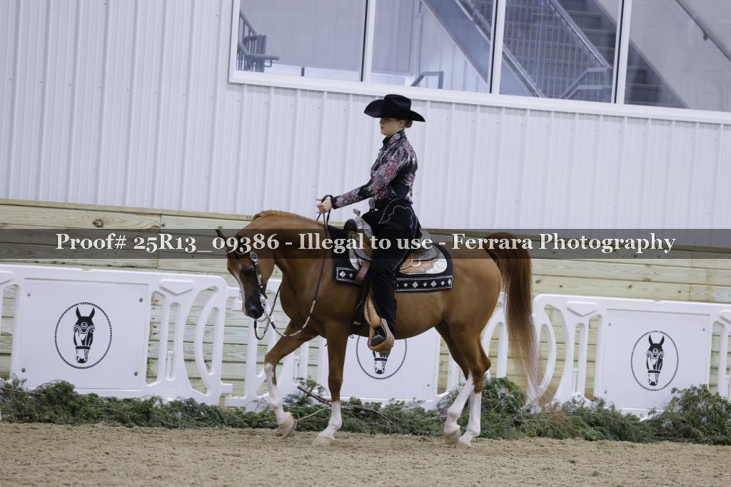 Proof 25R13_09386