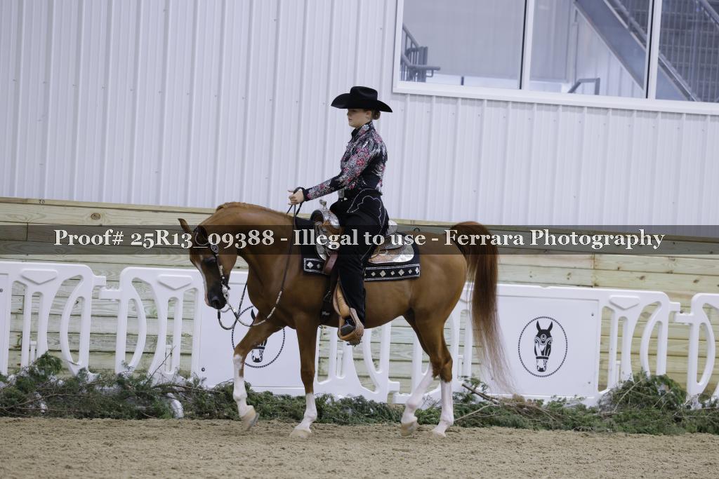 Proof 25R13_09388