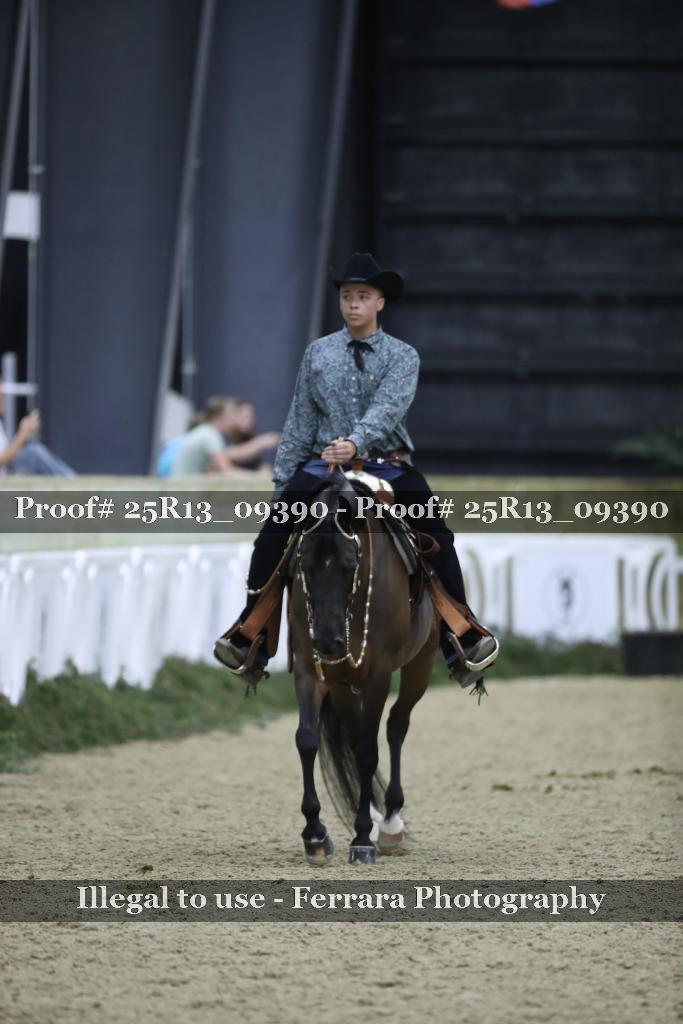 Proof 25R13_09390