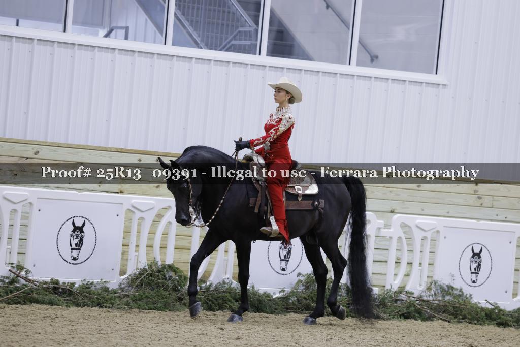 Proof 25R13_09391