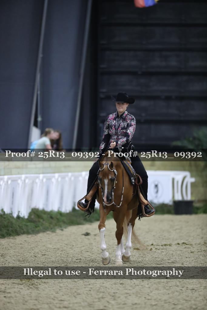 Proof 25R13_09392
