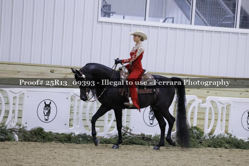 Proof 25R13_09393