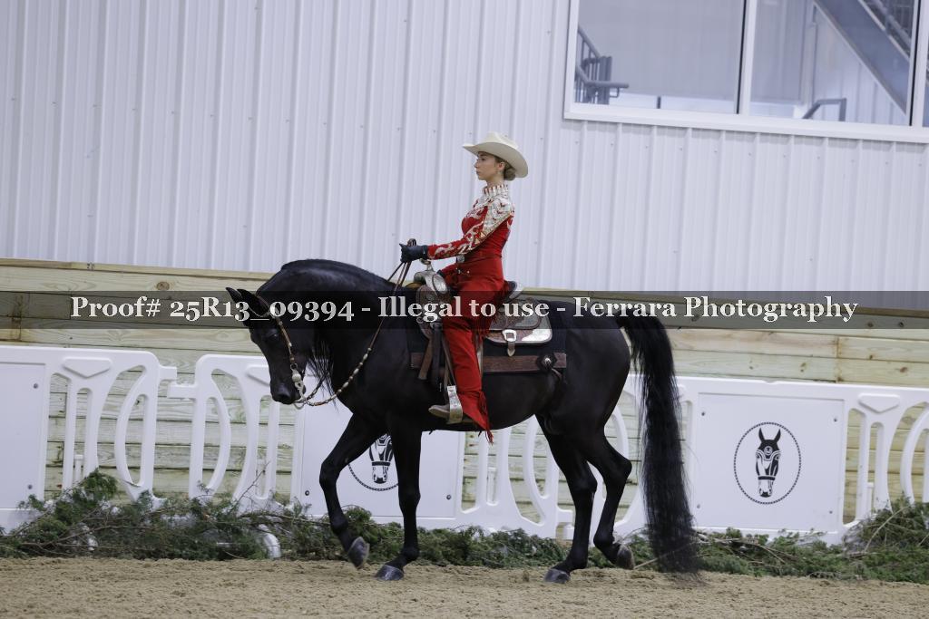 Proof 25R13_09394