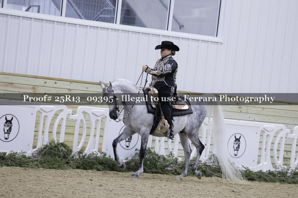 Proof 25R13_09395