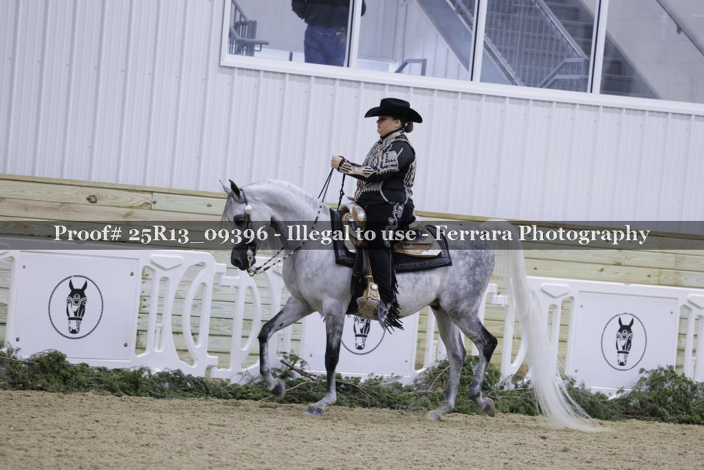 Proof 25R13_09396