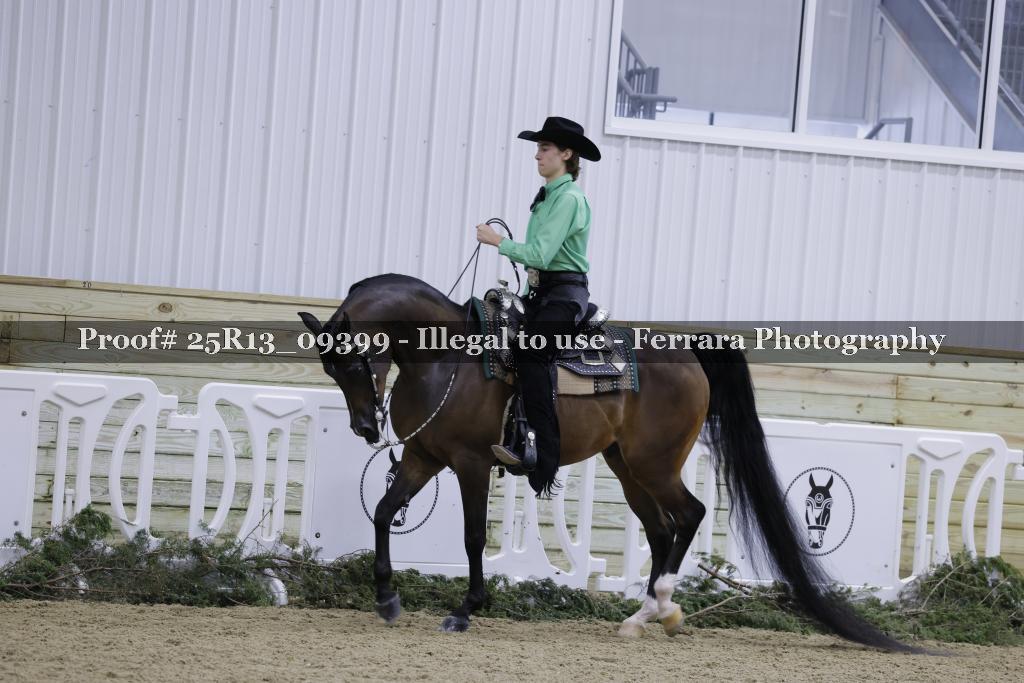 Proof 25R13_09399