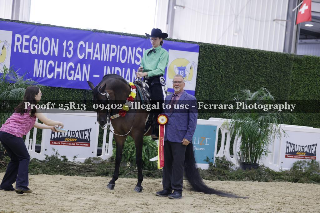 Proof 25R13_09402