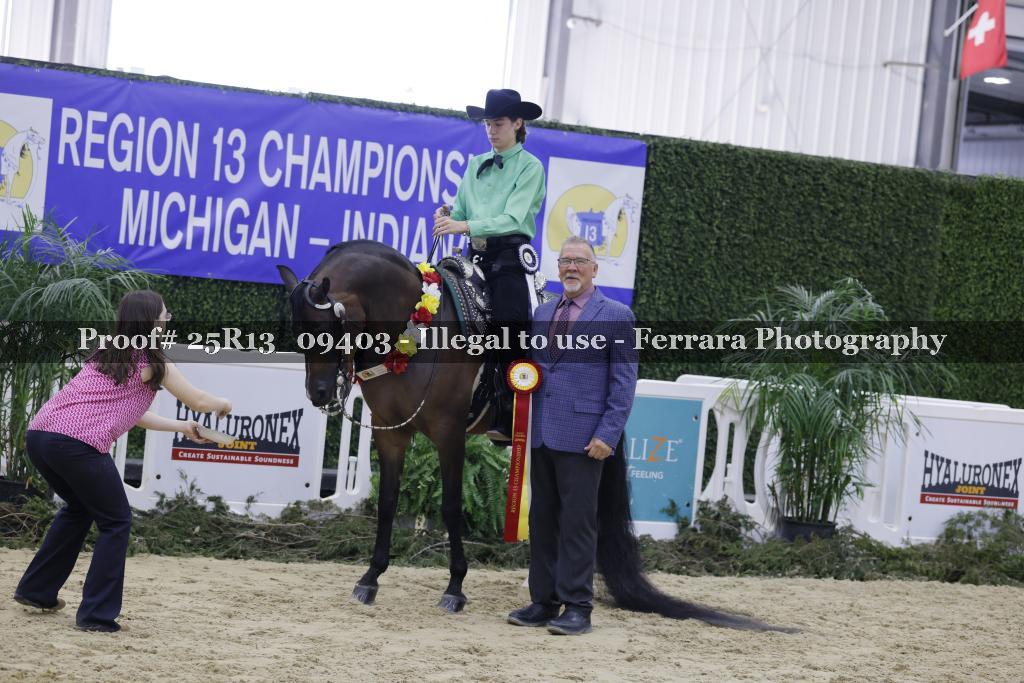 Proof 25R13_09403