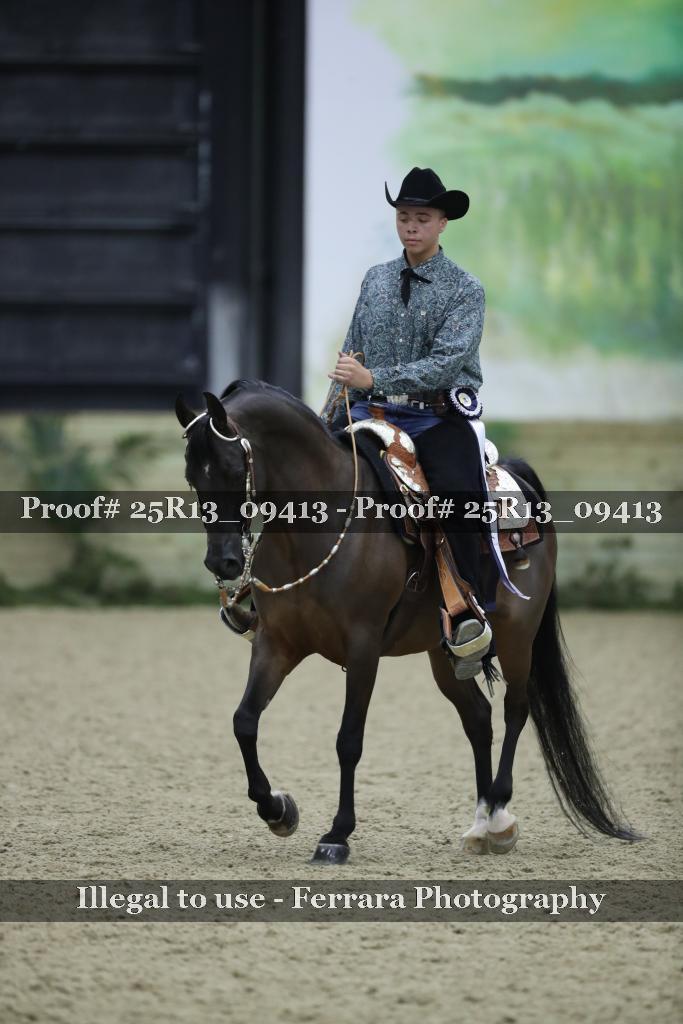 Proof 25R13_09413