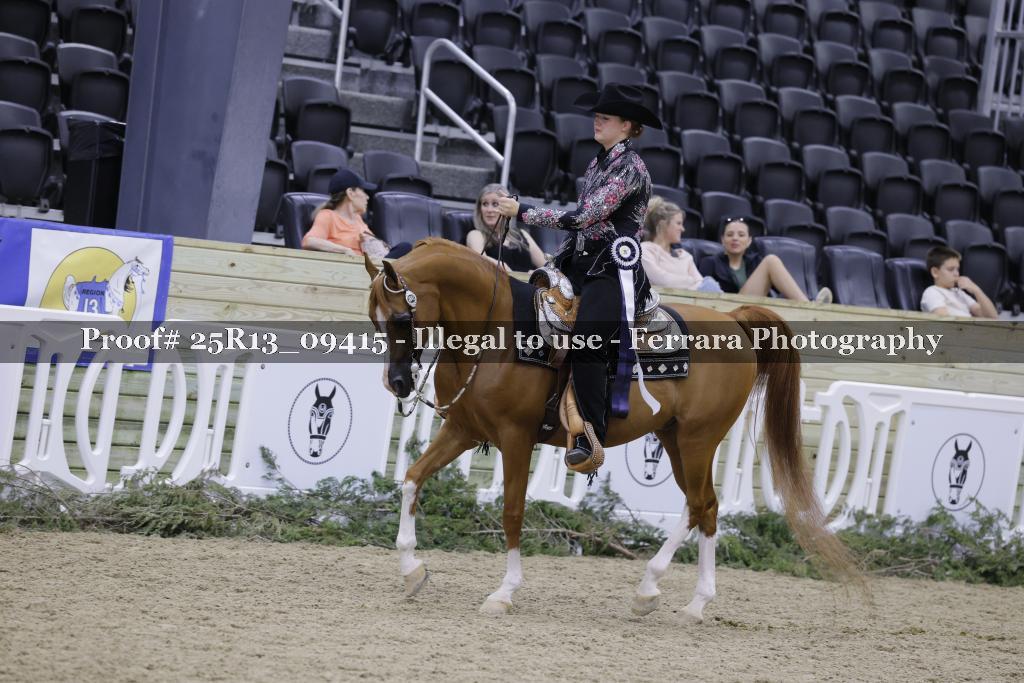 Proof 25R13_09415