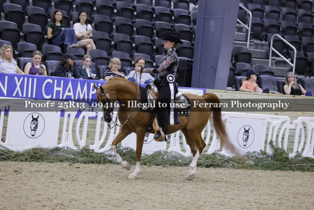Proof 25R13_09416