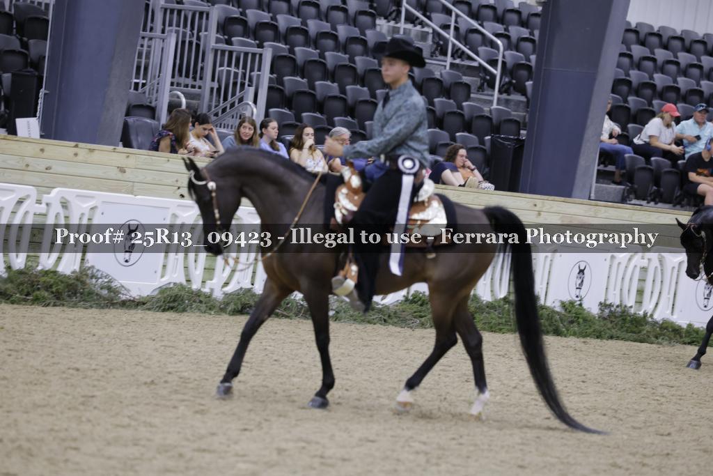 Proof 25R13_09423
