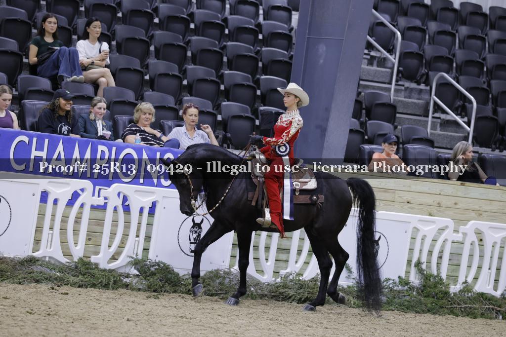 Proof 25R13_09429