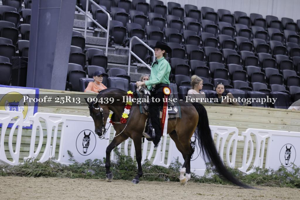 Proof 25R13_09439