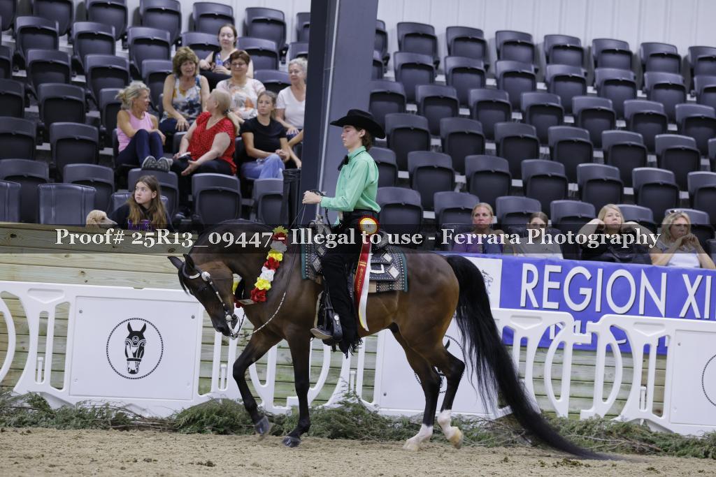 Proof 25R13_09447
