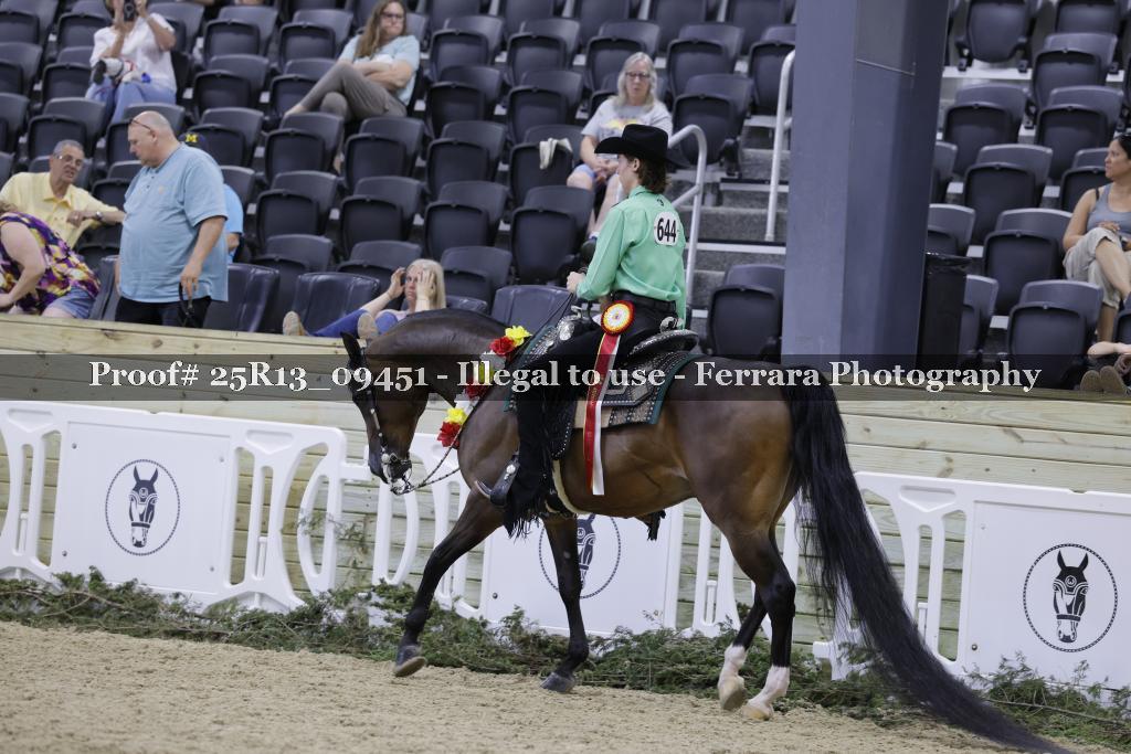 Proof 25R13_09451