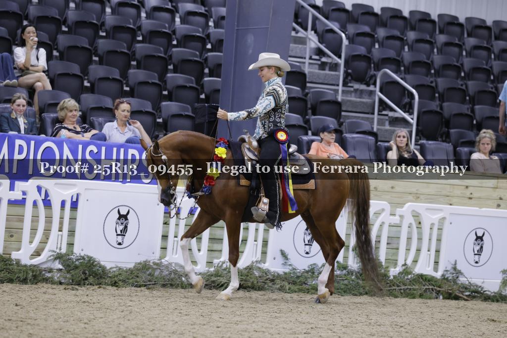 Proof 25R13_09455