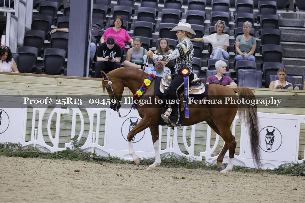 Proof 25R13_09459
