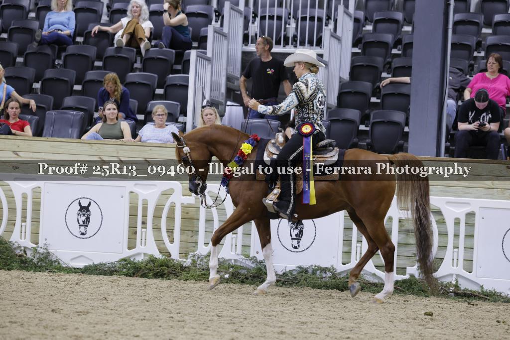 Proof 25R13_09460