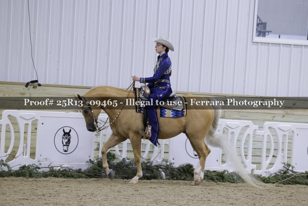 Proof 25R13_09465