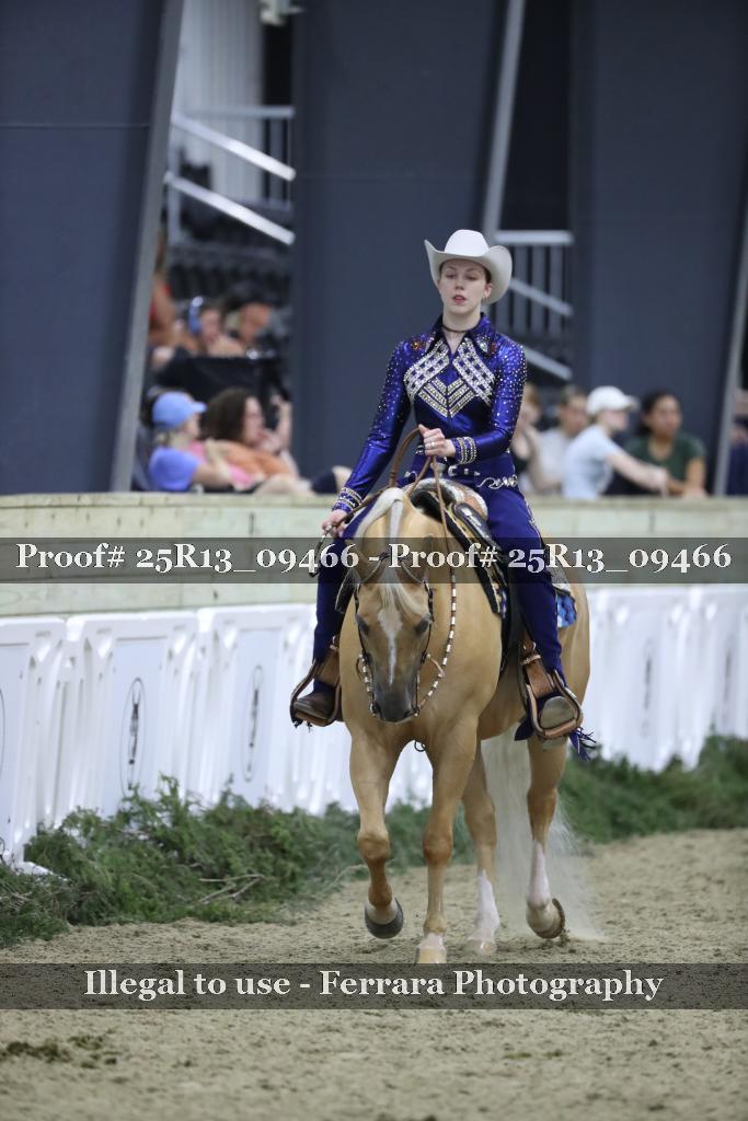Proof 25R13_09466
