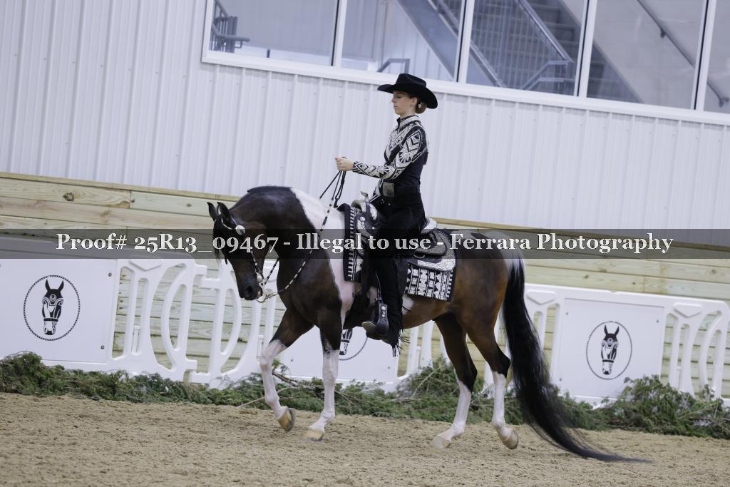Proof 25R13_09467