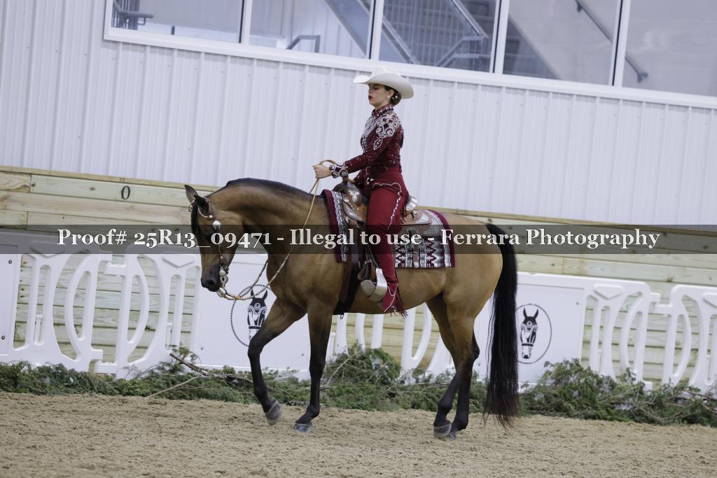 Proof 25R13_09471