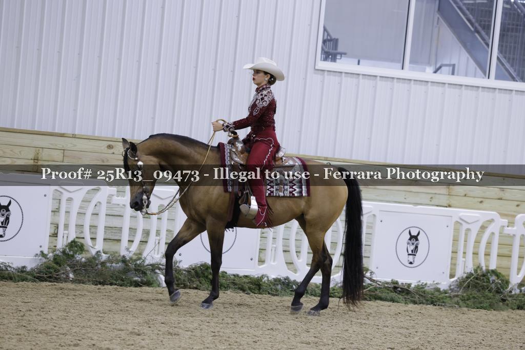 Proof 25R13_09473
