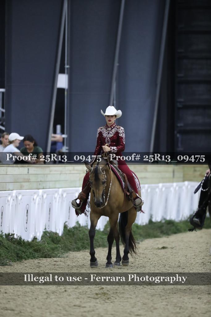 Proof 25R13_09475