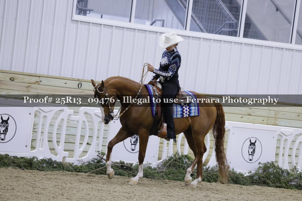 Proof 25R13_09476