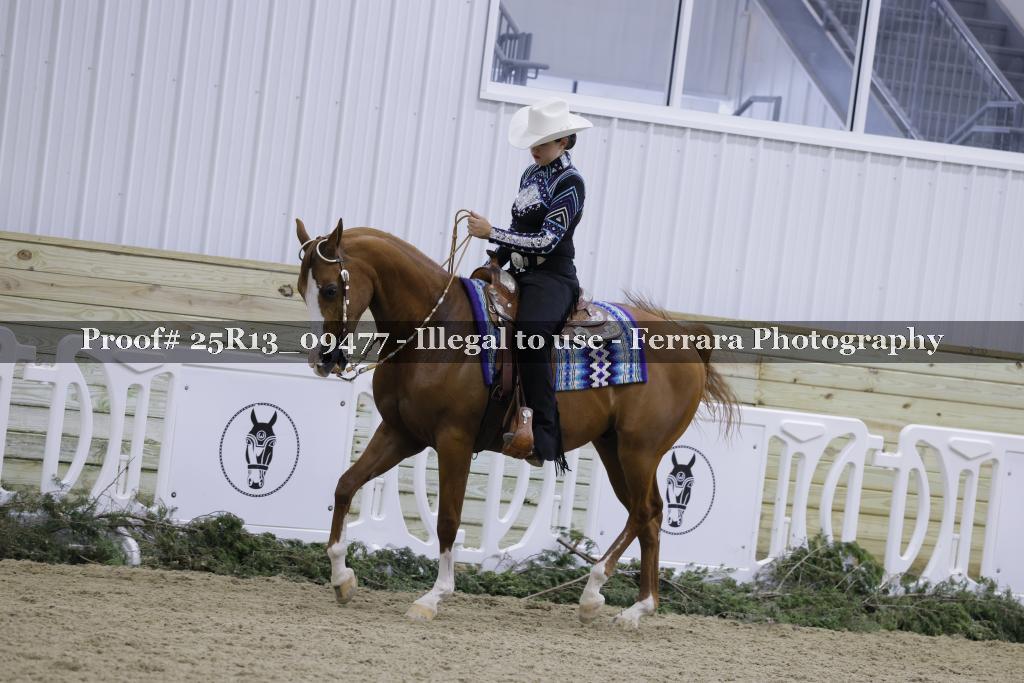 Proof 25R13_09477