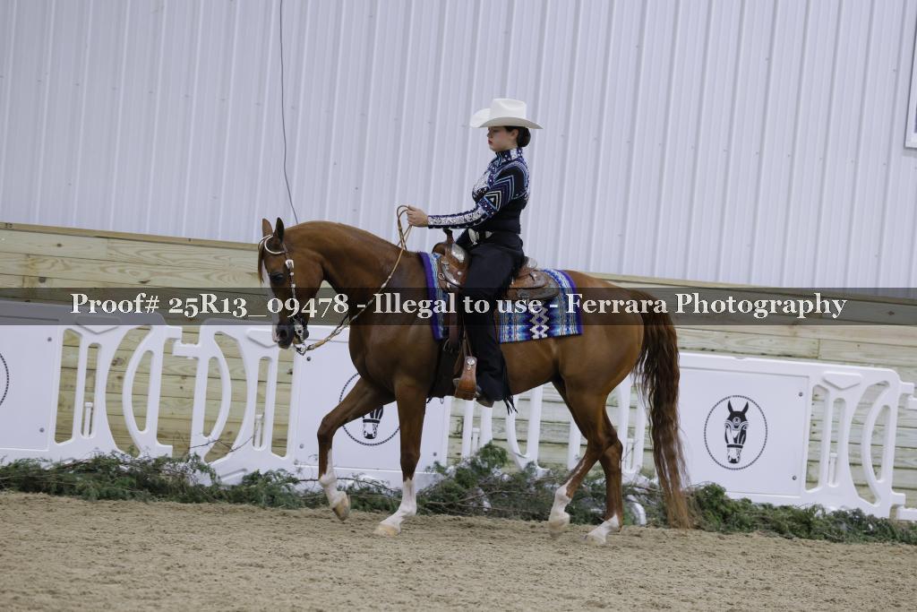 Proof 25R13_09478