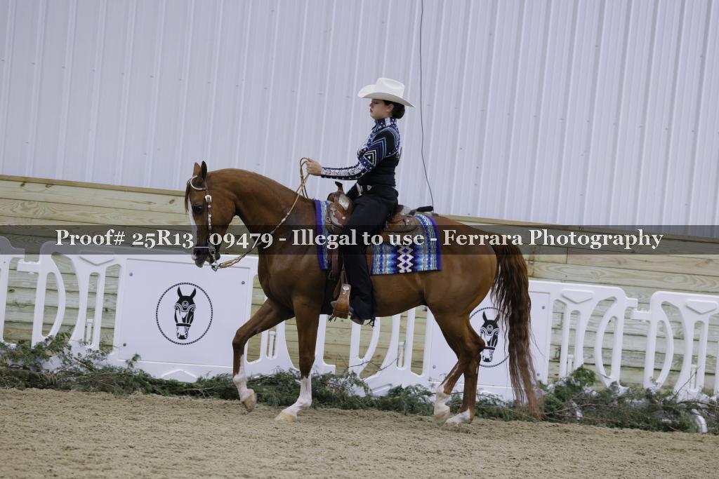 Proof 25R13_09479