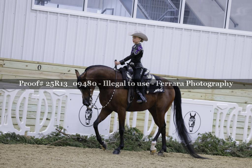 Proof 25R13_09480