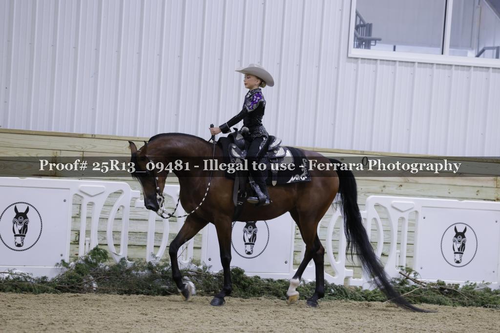 Proof 25R13_09481