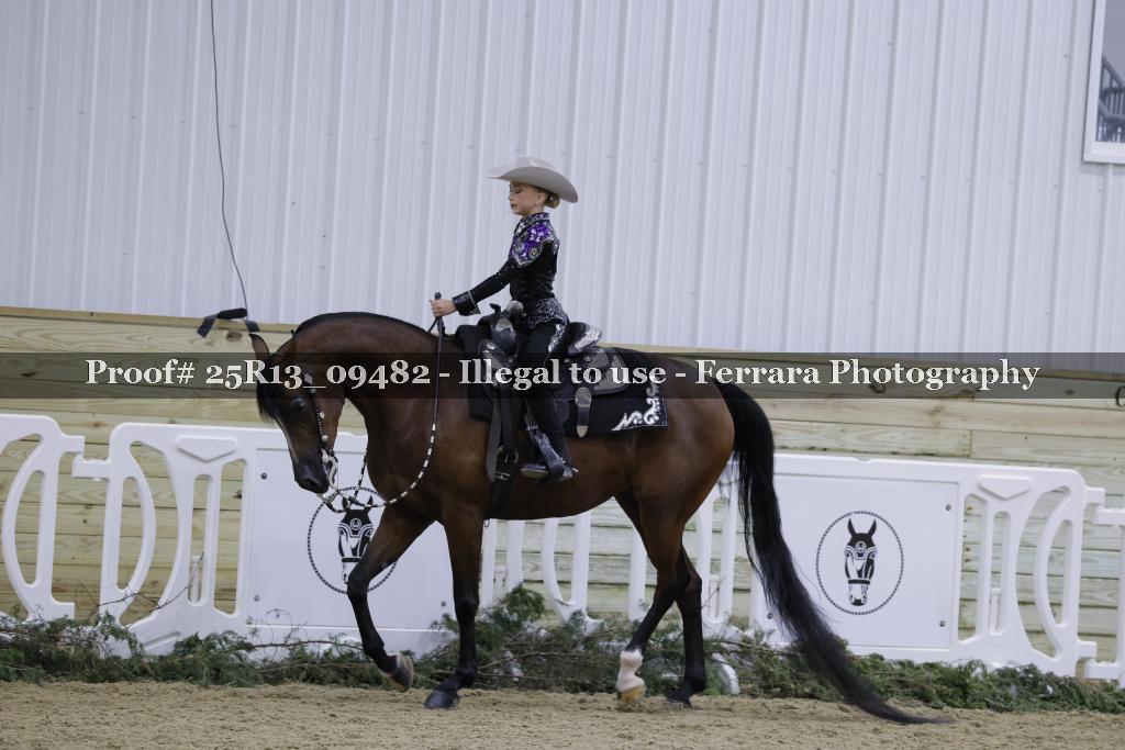 Proof 25R13_09482