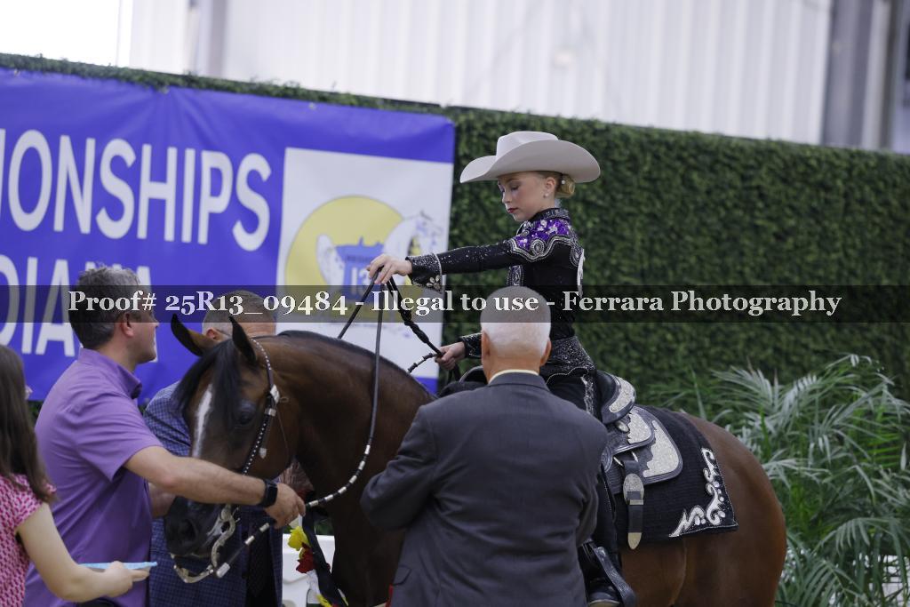 Proof 25R13_09484