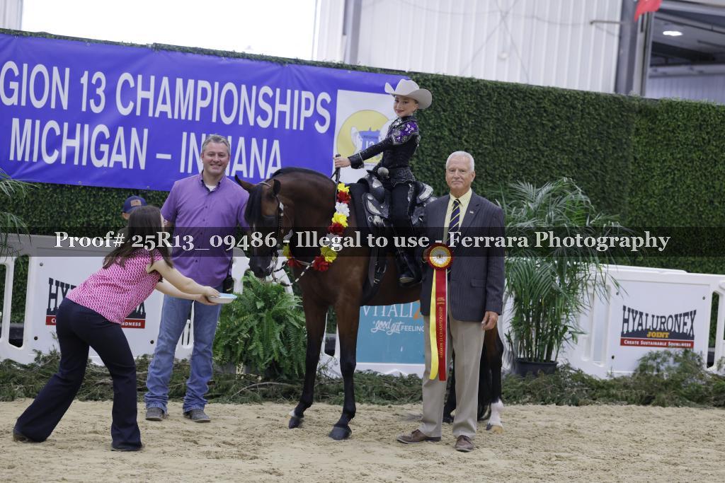 Proof 25R13_09486