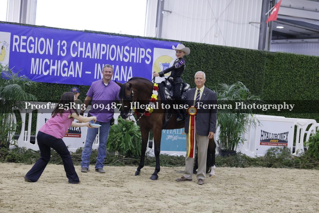 Proof 25R13_09487