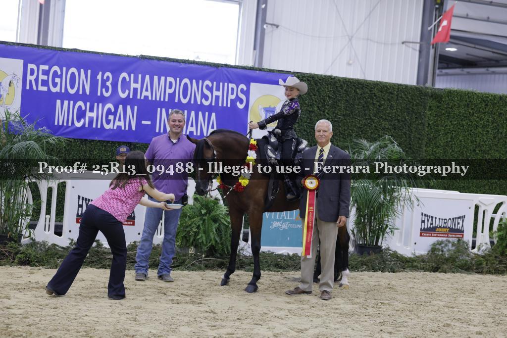 Proof 25R13_09488