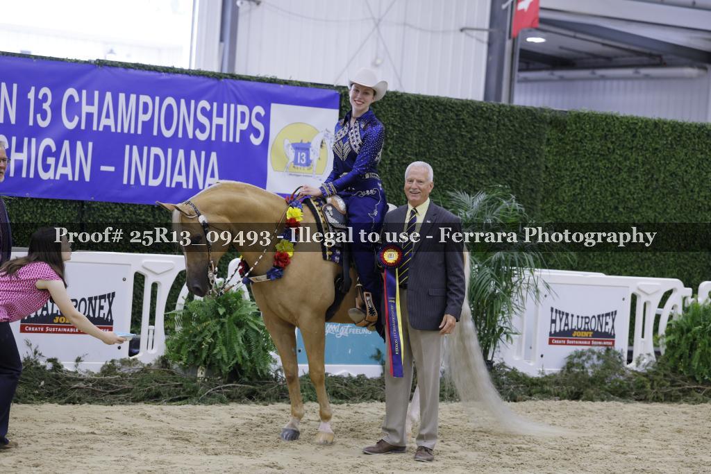 Proof 25R13_09493