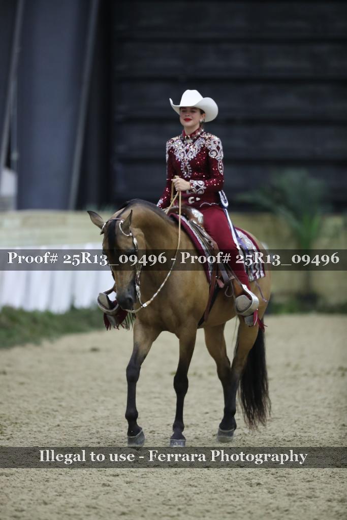 Proof 25R13_09496