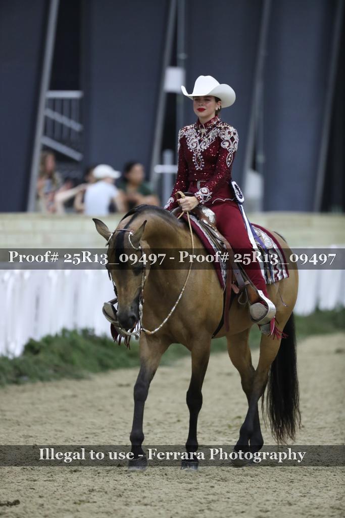 Proof 25R13_09497