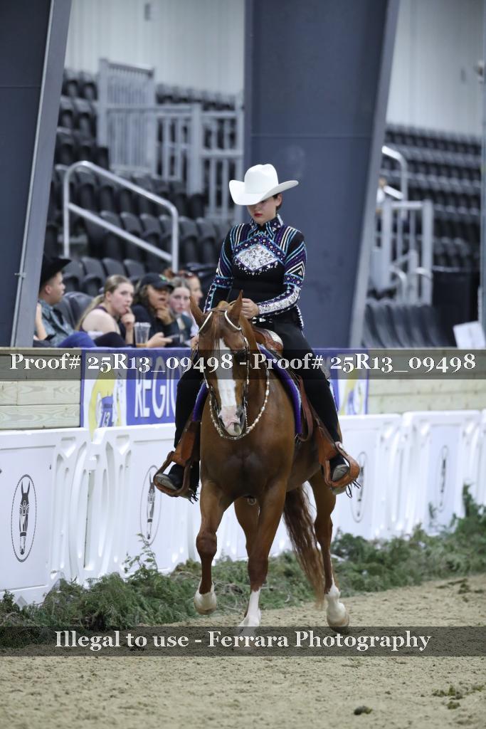 Proof 25R13_09498