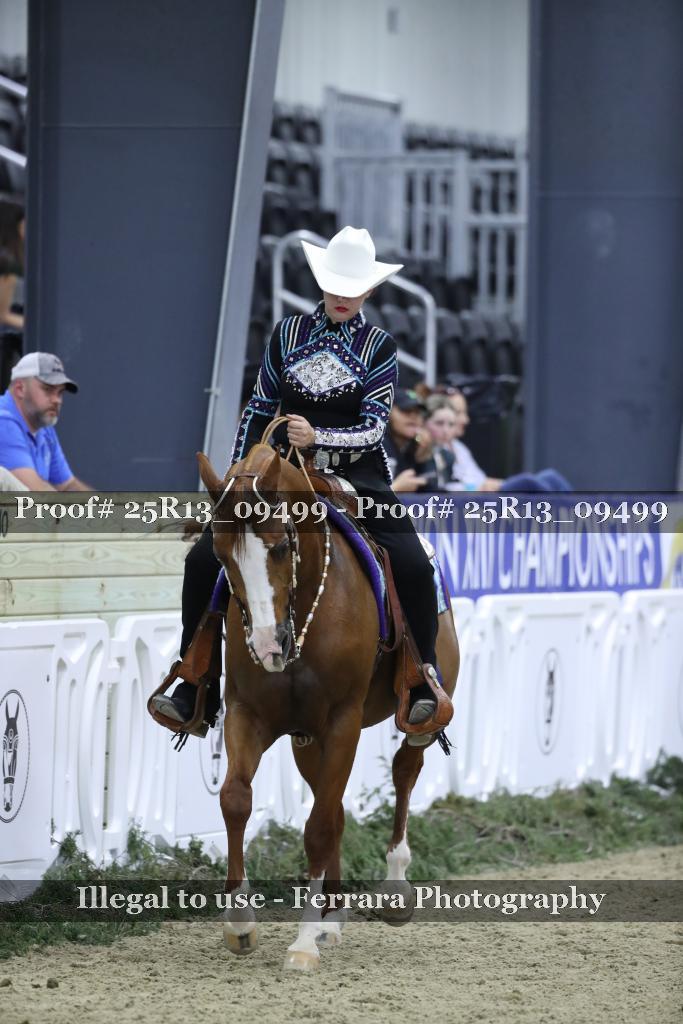 Proof 25R13_09499